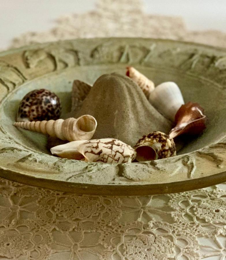 Palmira House - Delizioso Bilocale For Two Lejlighed Terni Eksteriør billede